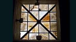 IMG_3501