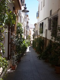 A cool street in Old Javea almost impassable with dozens of pot plants